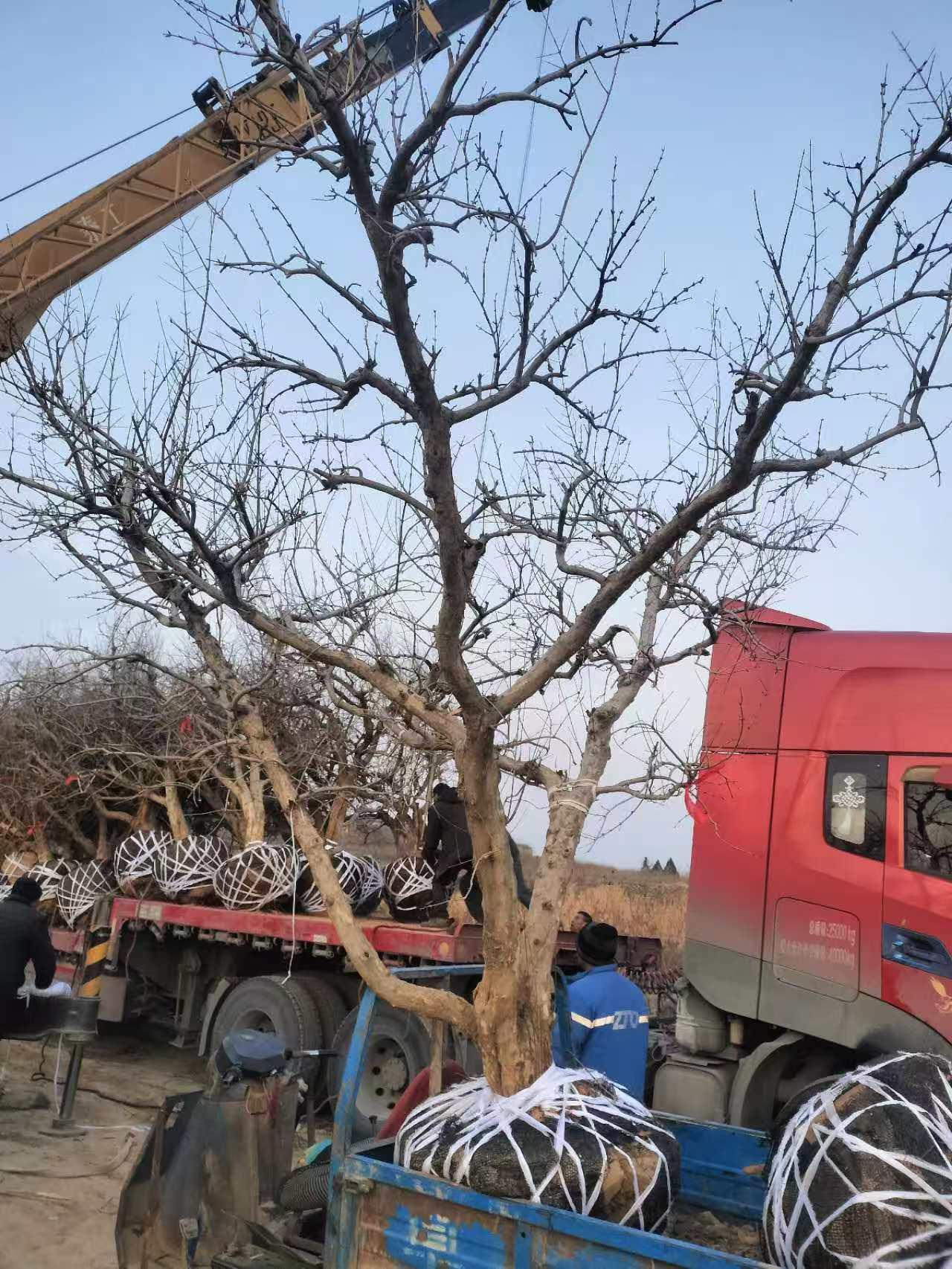 微信图片_202503020830021.jpg